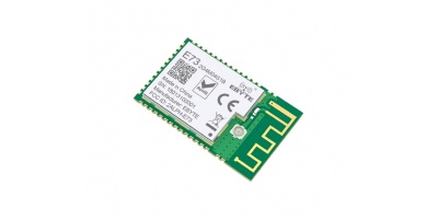 Module BLE nRF52832 E73-2G4M04S1B