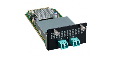 NMC-1010:   2 Ports 10GbE Advanced LAN Bypass Module