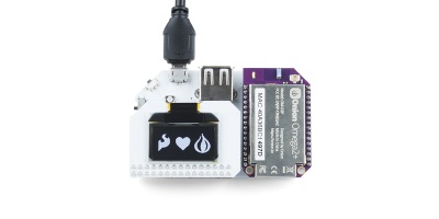 Onion Omega2+ IoT Computer