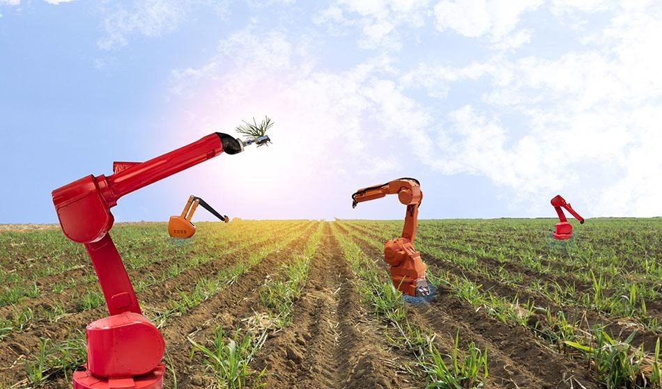 Ứng dụng Robot trong nông nghiệp